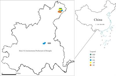 Impact of Rocky Desertification Control on Soil Bacterial Community in Karst Graben Basin, Southwestern China